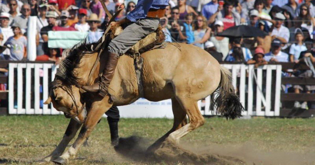 PROHIBIR JINETEADAS en URUGUAY en Semana de Turismo