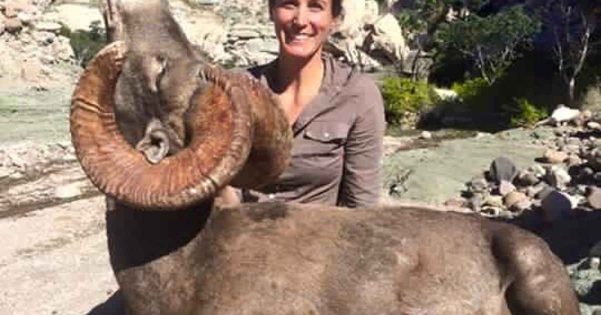 Do NOT permit the hunting of bighorn sheep and send to prison who do not comply with this
