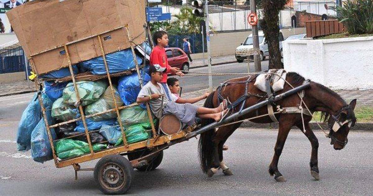 Prohibition of carts pulled by animals! Adoption of the Tin Horse! Traction  on a bicycle!