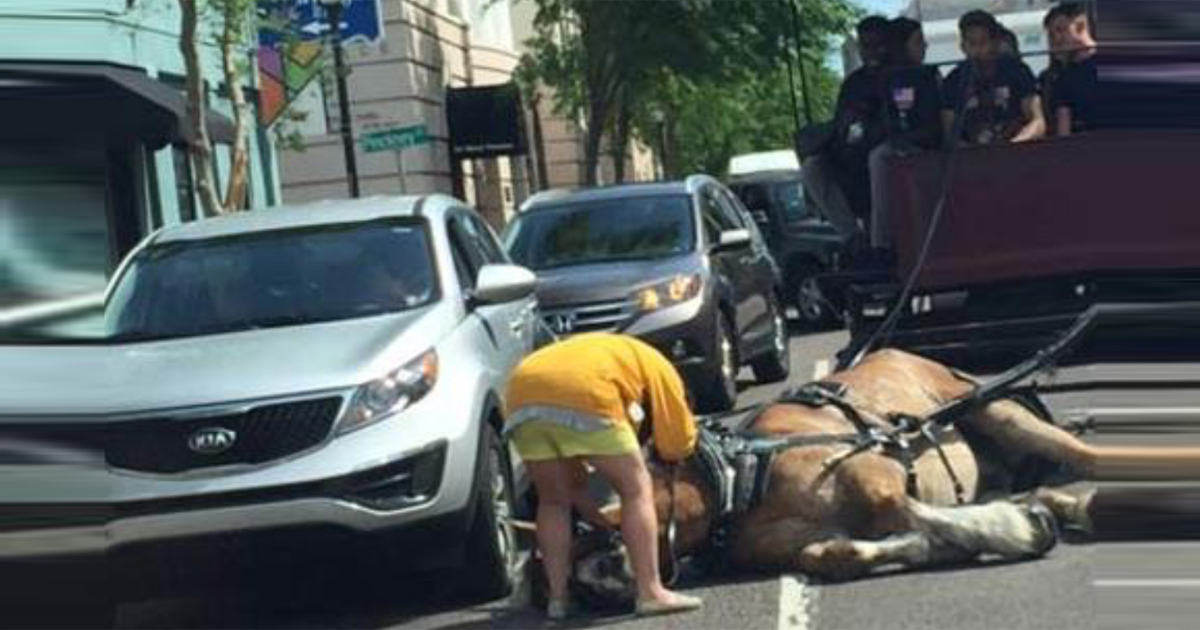 Consigamos que prohíban que los caballos tiren de los carruajes