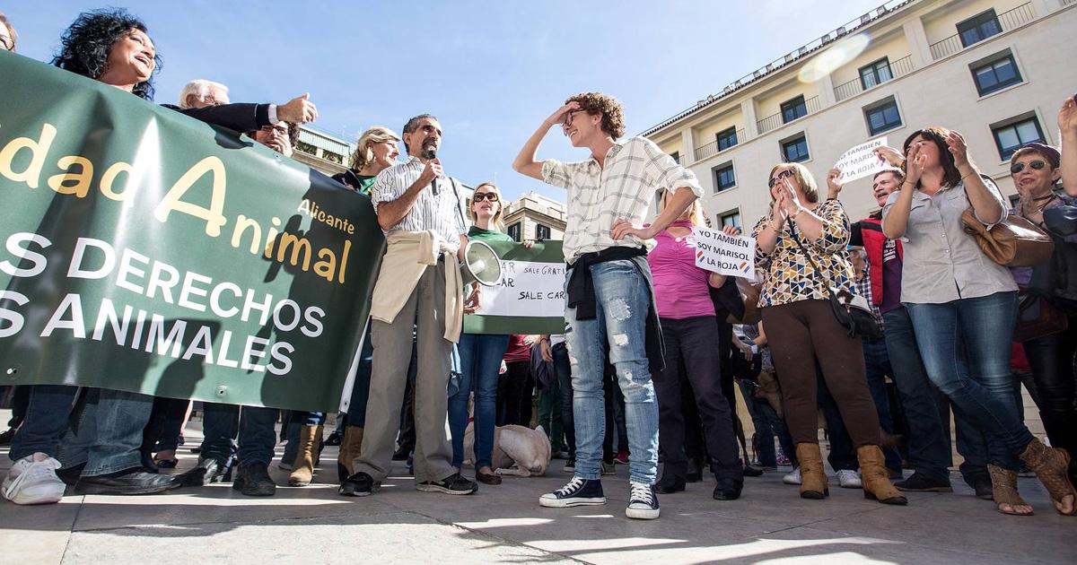 Défendre le Département de la protection des animaux d'Alicante!