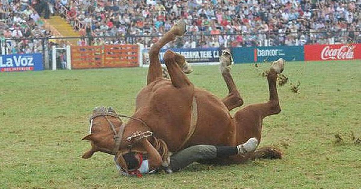 Terminar con las domas en la Rural del Prado. Ya murió un pobre caballo a raíz de esta práctica. 