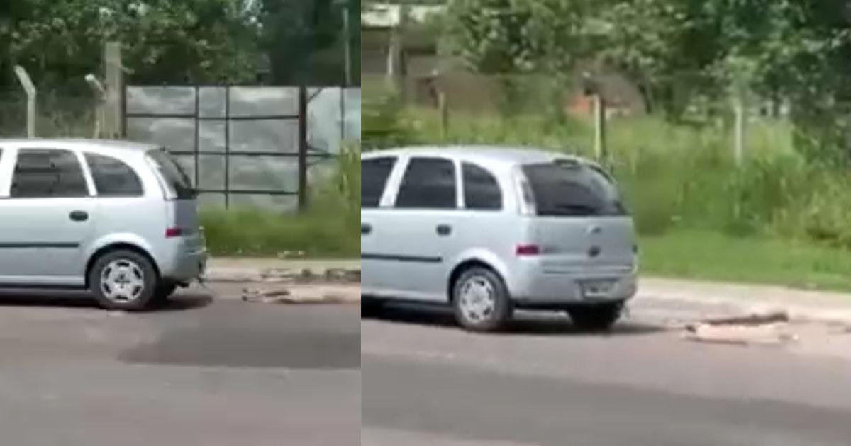 Increase punishment for animal abuse