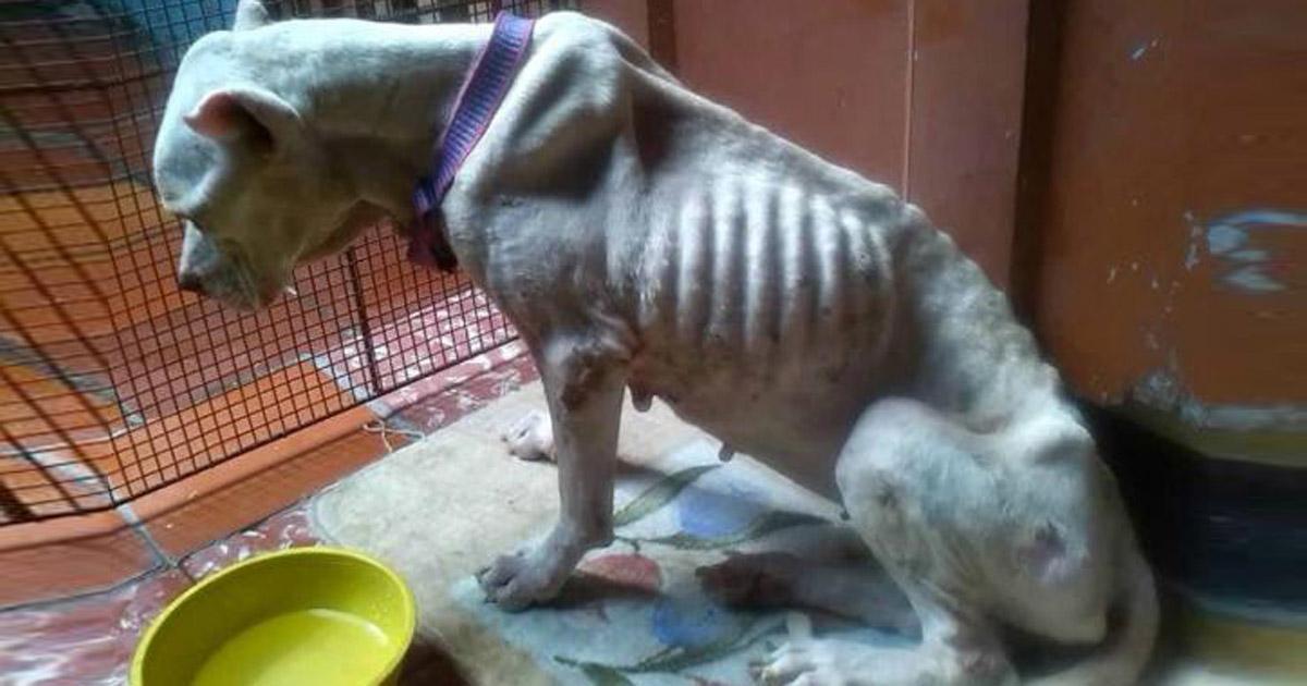 Ya está en la cárcel Julián Omar Maruca!