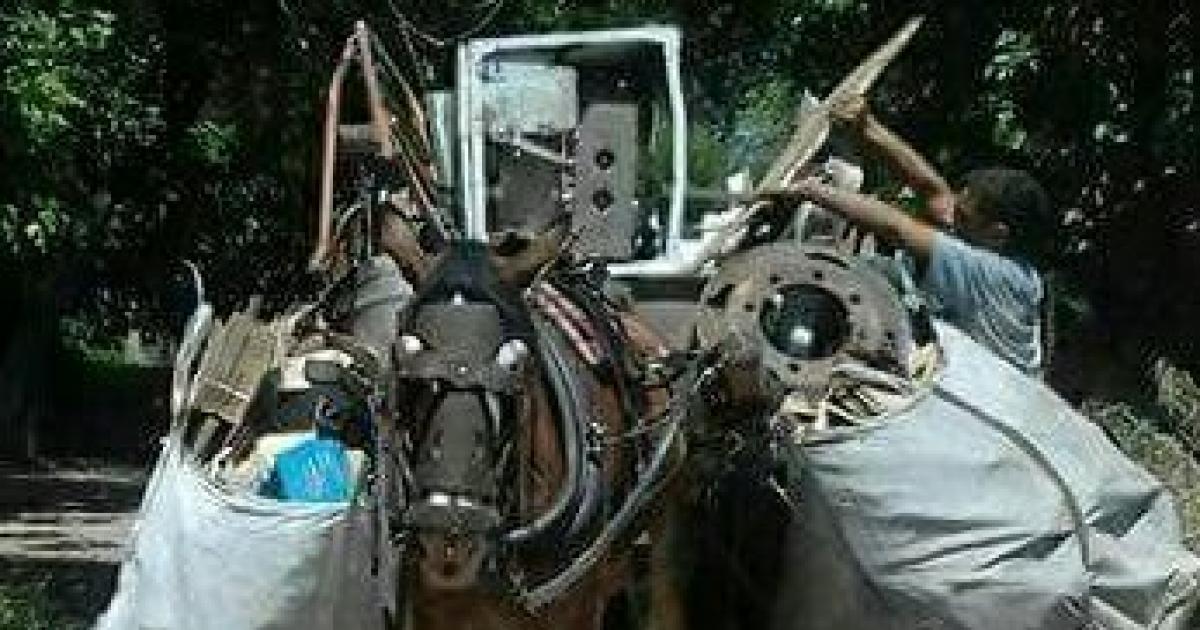 Sancionar la Ley no más tracción a sangre en Argentina. Cambiar caballos por motocarros o carros a pedal