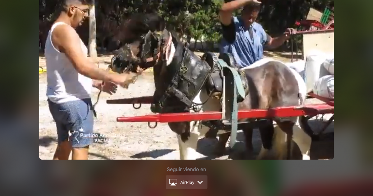 Acabar con el maltrato de caballos en las competiciones de tiro y arrastre