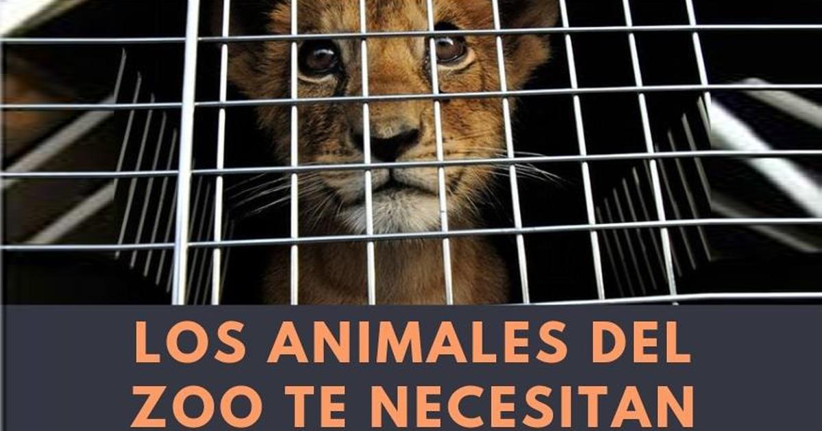 Cerrar el zoológico de Córdoba