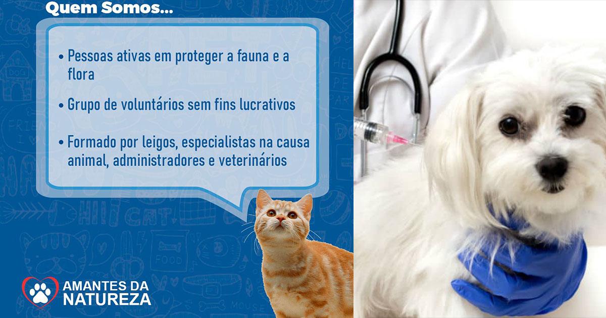 Campaña de castración, vacunación y sensibilización sobre maltrato animal y hogar temporal