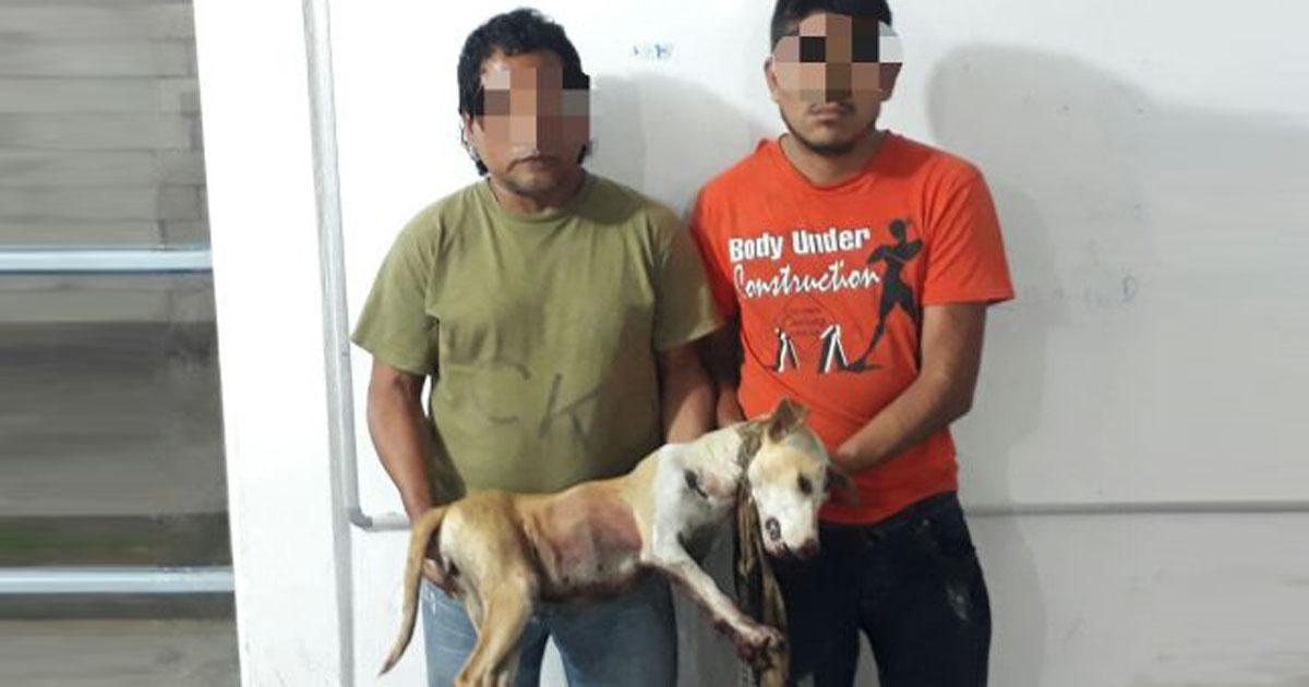 Justice pour le meurtre d'un chien qui a été traîné vivant par deux sujets dans une camionnette