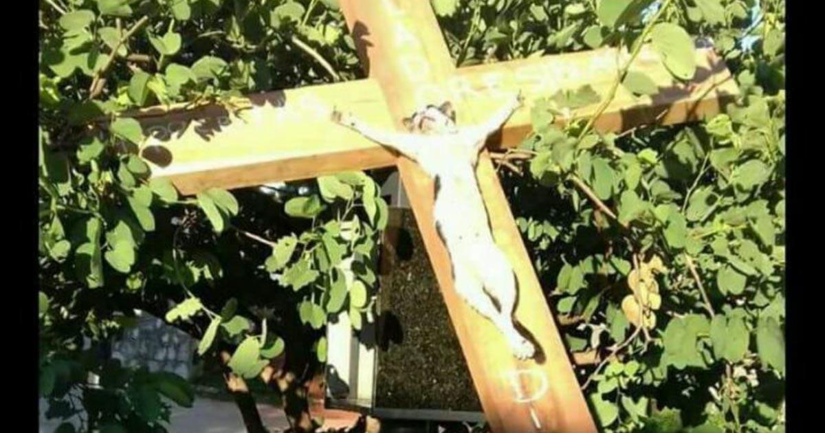 Castigo al que crucificó al gatito en la Iglesia!