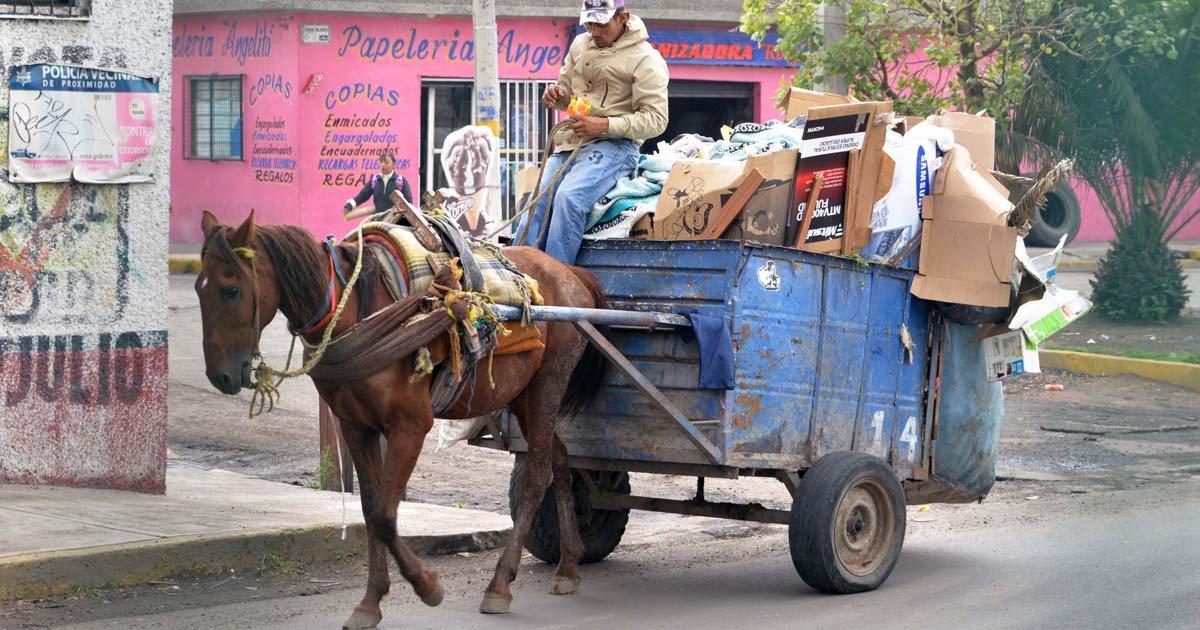 Dejen de Utilizar Caballos en Carretones de Basura