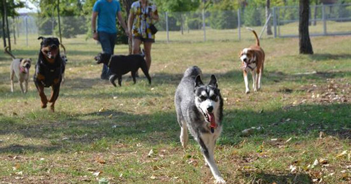 Habilitar una zona para poder llevar a los perros sueltos