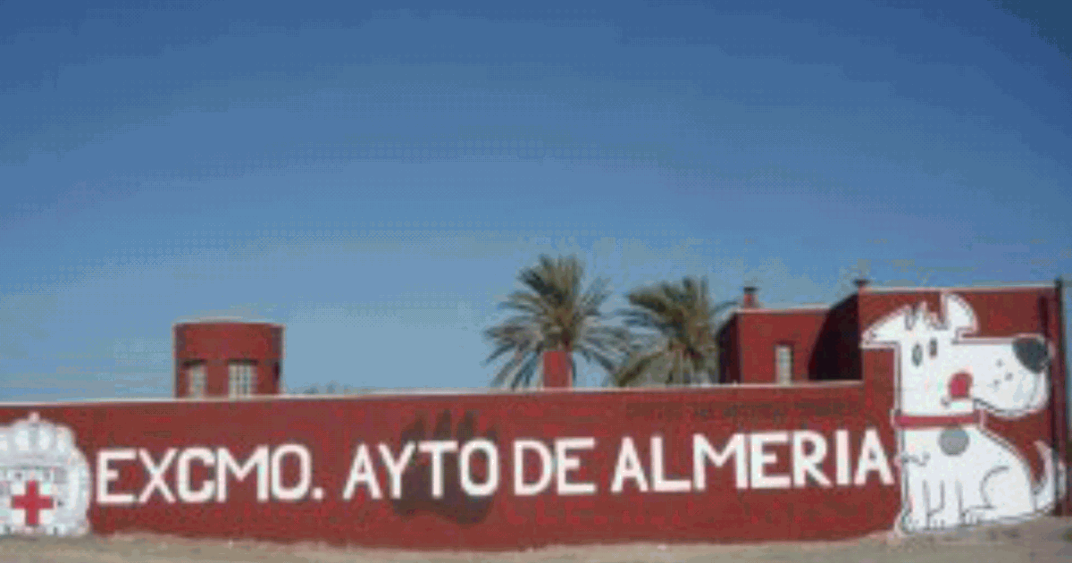 Sacrificio cero en la perreras de Almería