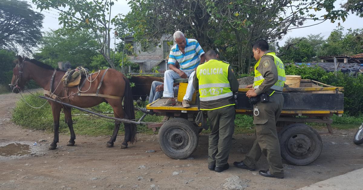 Crear cosos municipales para los caballos maltratados