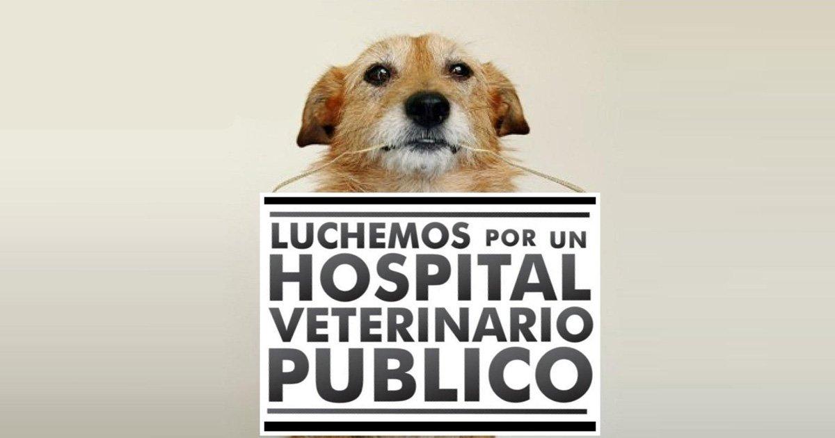 Hospital Público Veterinario