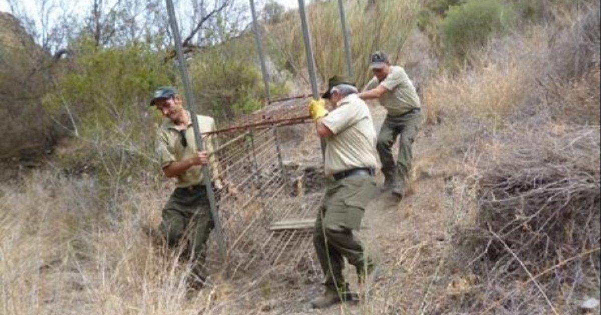 Cambiar Ley de Caza de Castilla-La Mancha