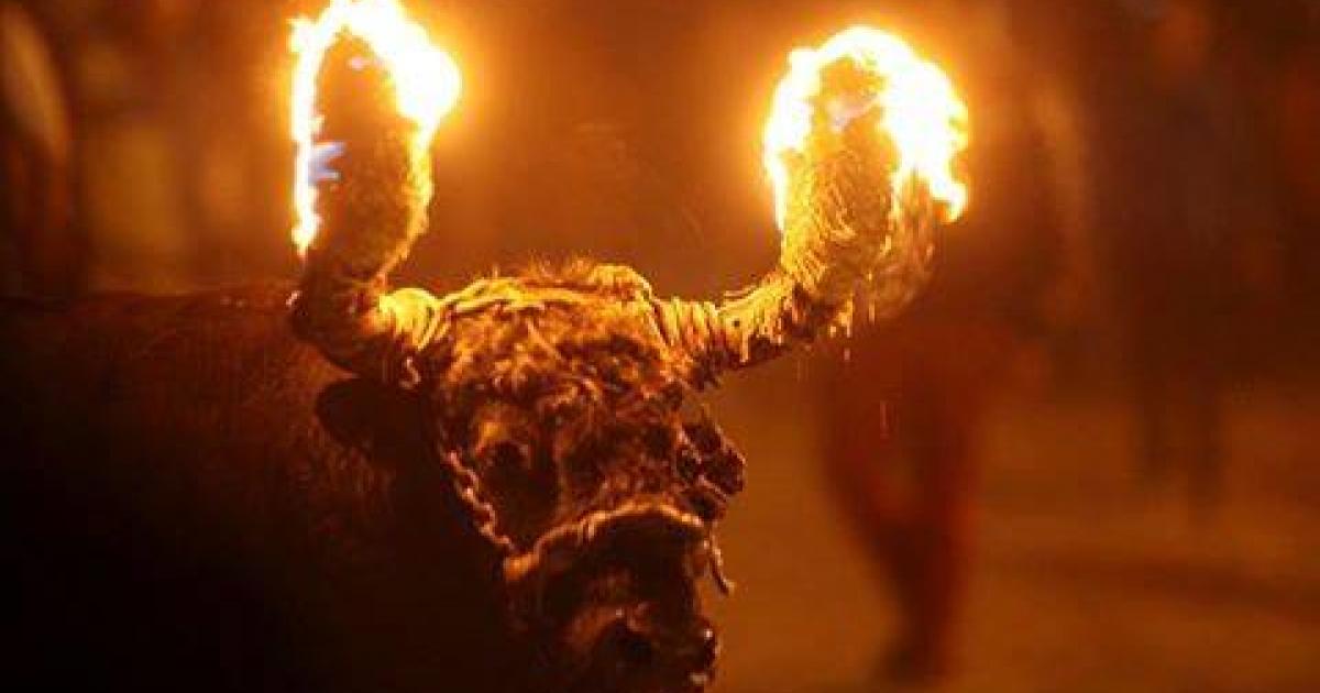 Sancionar a los que realizaron el evento de Toros de Fuego en Benavente, Portugal, ya prohibido por Ley