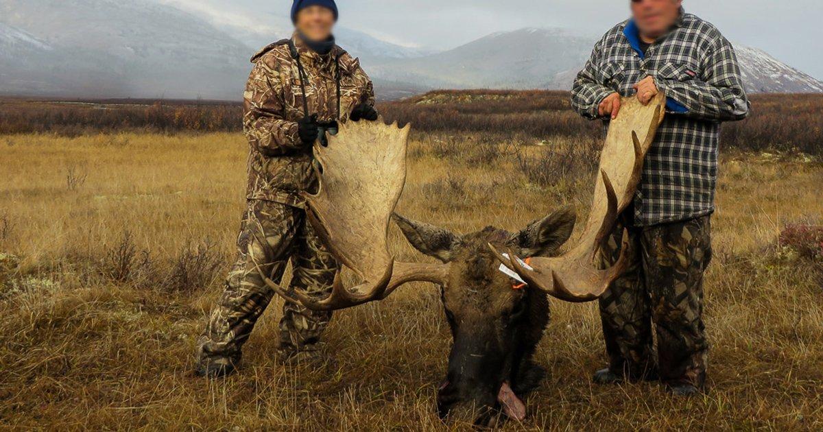 Prohibit hunting in Sweden