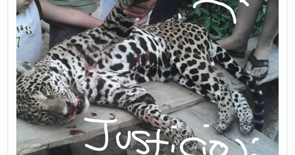 Jail to anyone that kill jungle animals in Honduras
