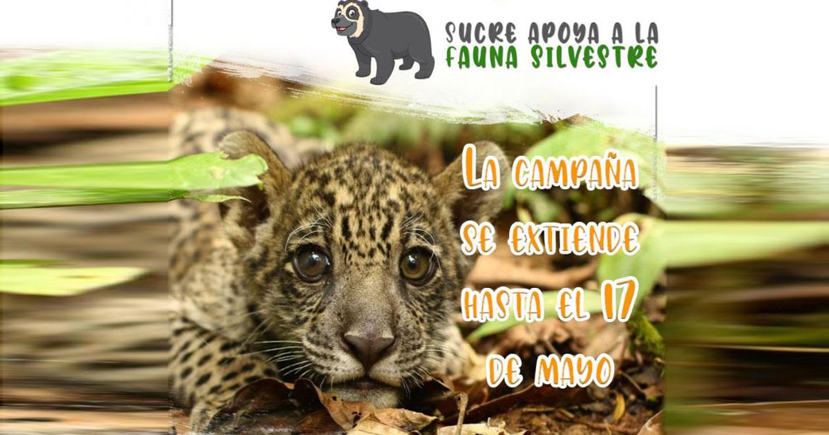 Ayuda para los Centros de Rescate de Fauna Silvestre en Bolivia
