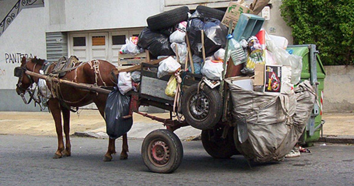 Salvemos a los Caballos y Burros de Tanta Explotación en el Estado de México