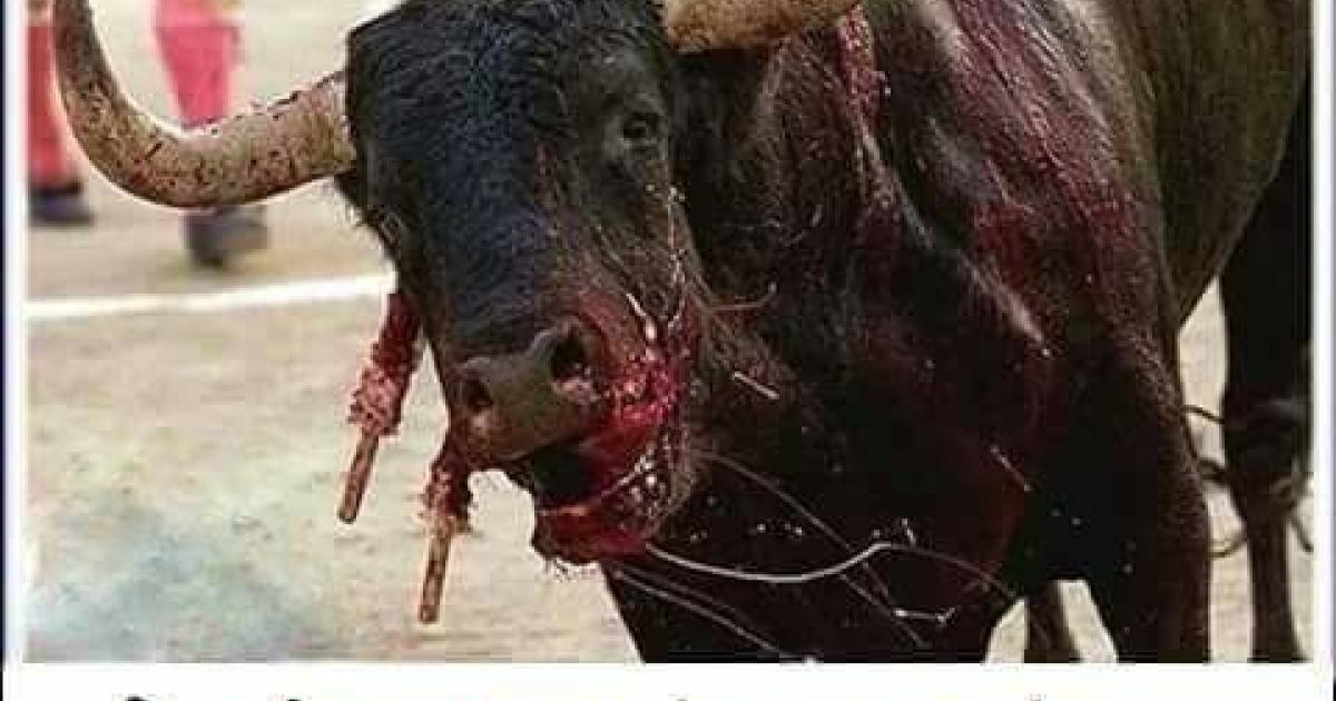 Que se suspendan las corridas de toros