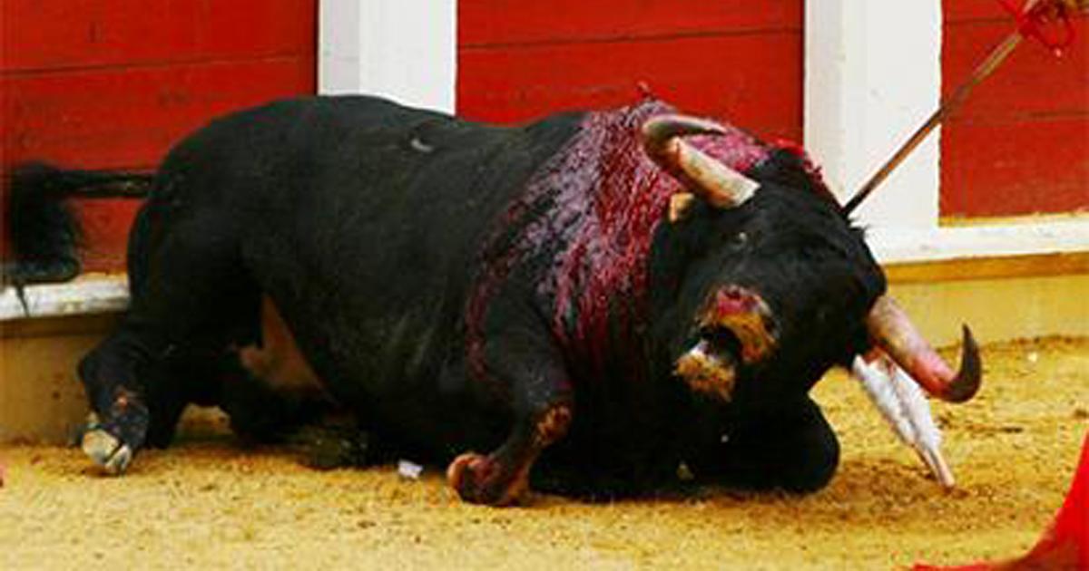 Boycott the tourism of Brazilians to Spain while there are bullfights
