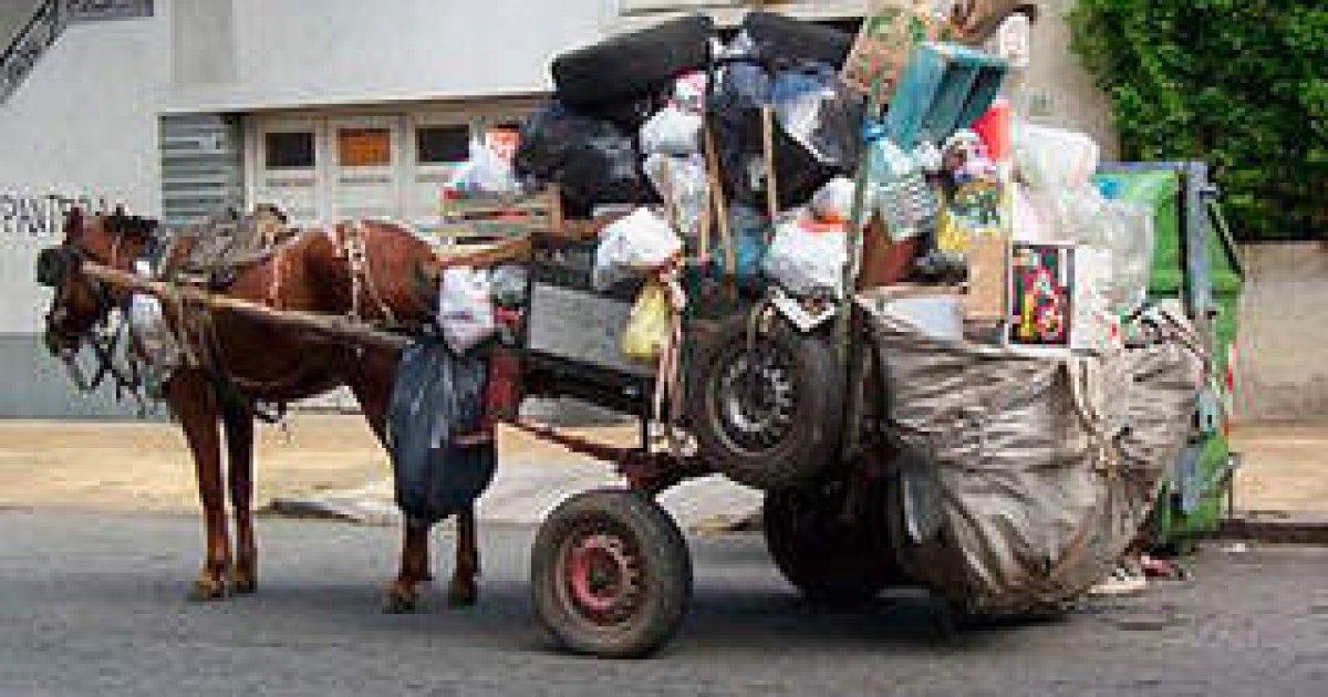 carros tirados por caballos por toda la ciudad, doma, jineteada, caza, carrera de galgos, riña de gallos...