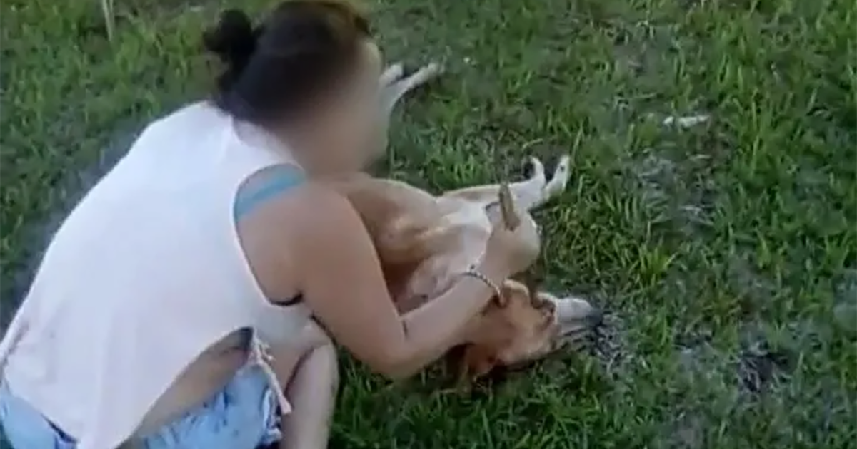 Two young women filmed themselves poking the eyes of a dog with a stick and laughing, we want JUSTICE !!