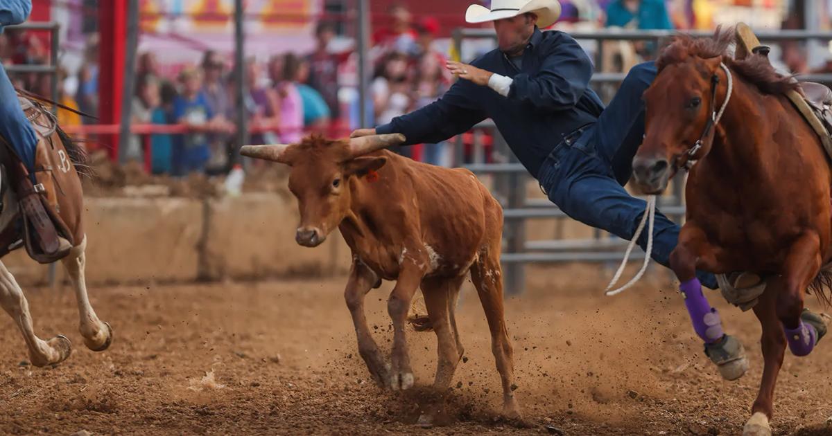 Cancelar el cruel rodeo