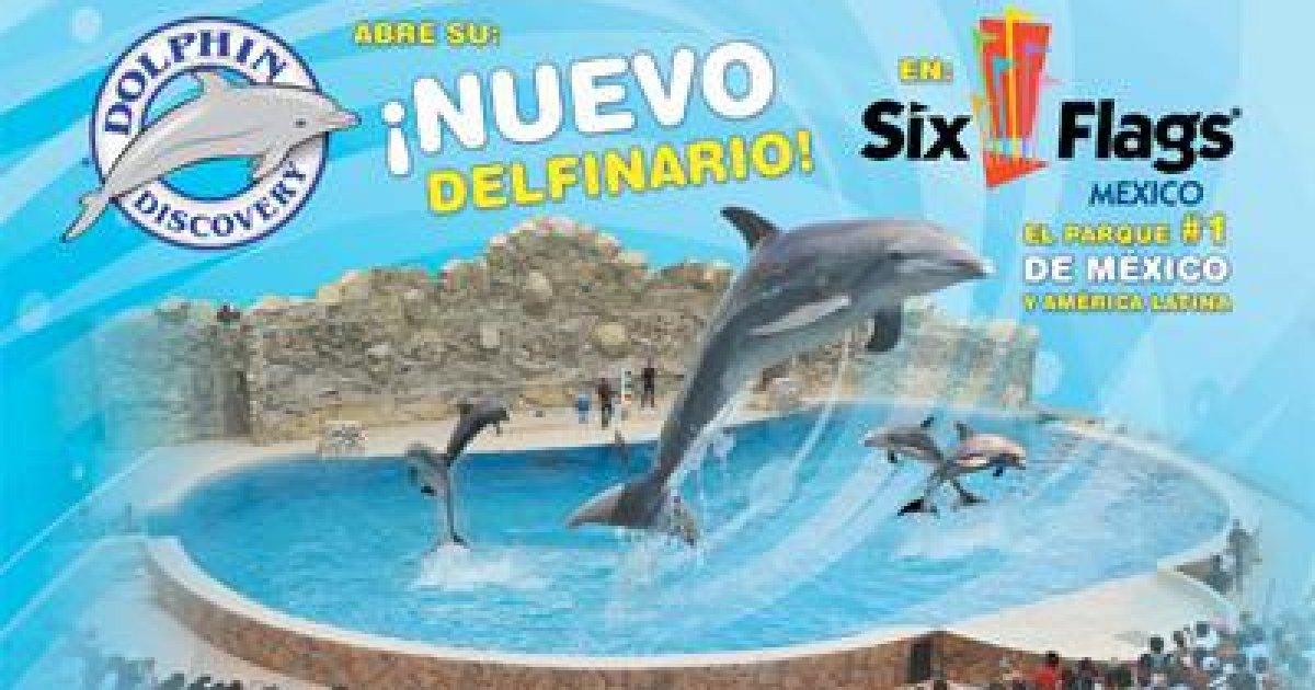 Free the animals of Six Flags Mexico