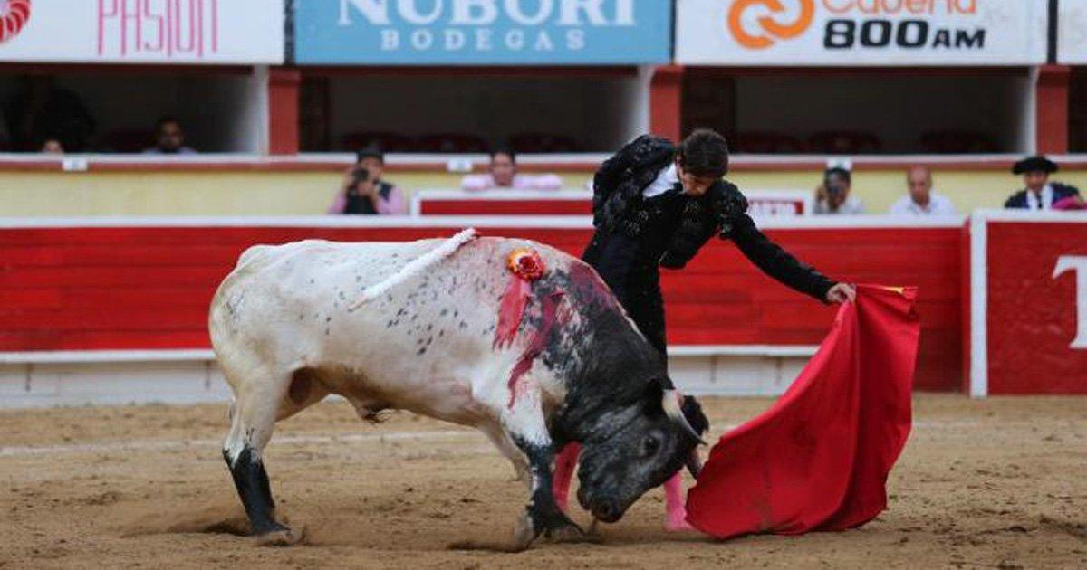 No more bullfighting. NO TO BULLFIGHTING IN BAJA CALIFORNIA