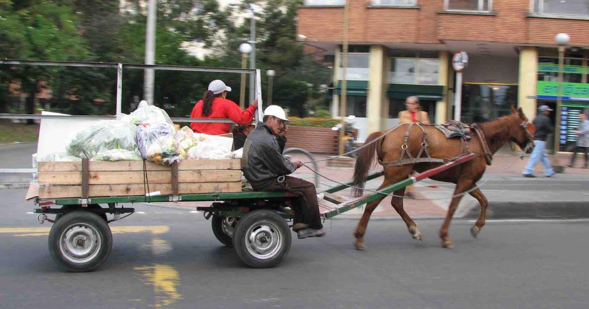 Sustitución laboral para zorreros urgente!