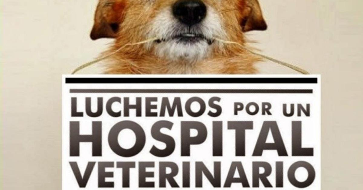 Un hospital veterinario público gratuito o de costo social