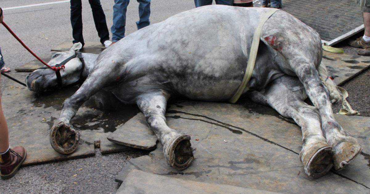 Eliminar los carruajes de caballos de las zonas urbanas