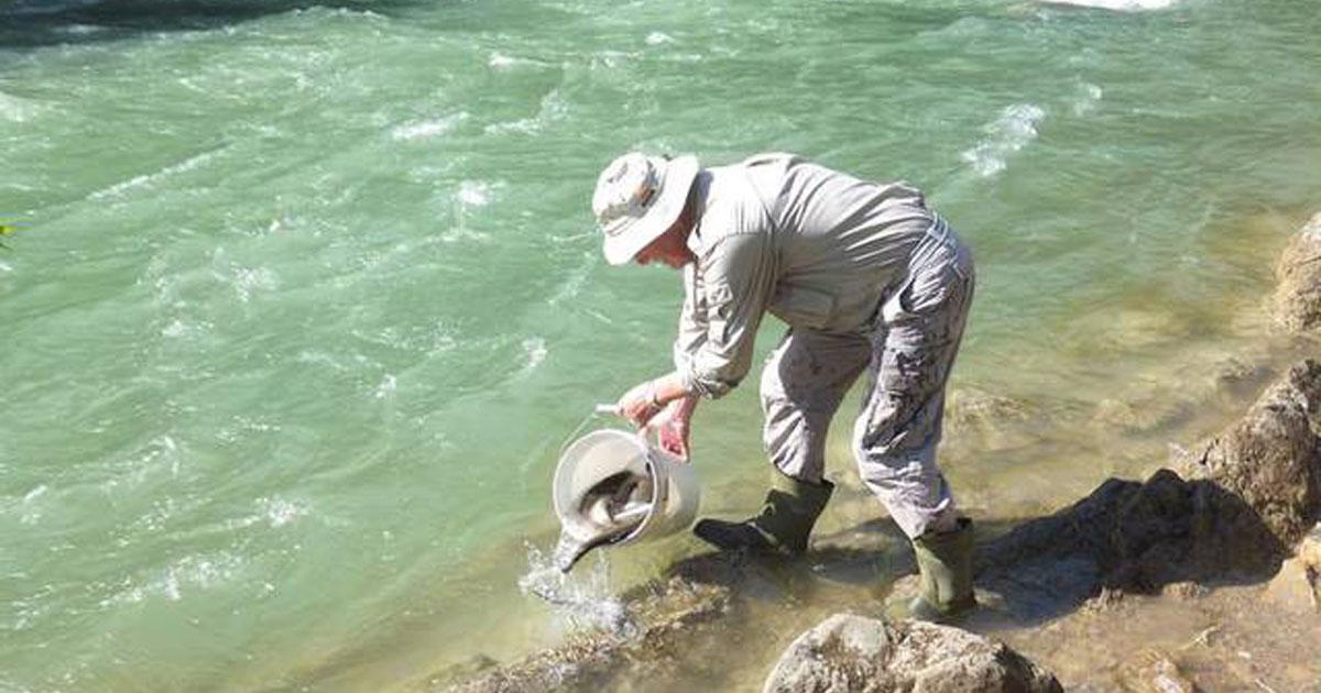 Luchar contra la Ley de especies invasoras. La pesca en España genera al año solo unos cuantos millones de euros