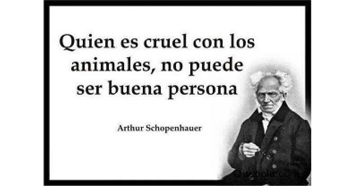 Prohibamos este Tipo de Páginas que Dañan la Sensibilidad de Todas las Personas, en Especial la de los Niños