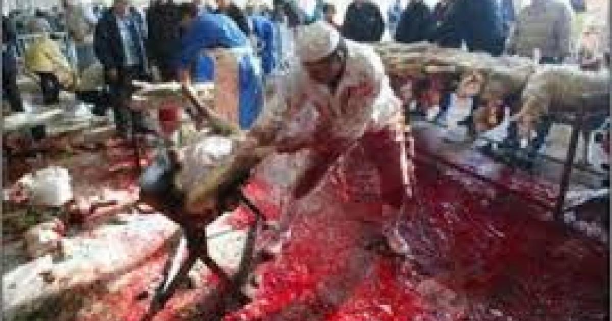 Prohibir la masacre de Halal