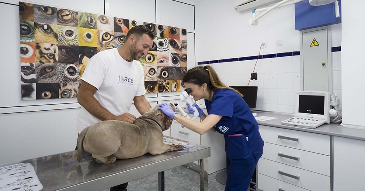 Hospital y Refugio de animales