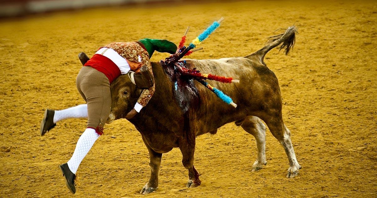 Salvemos a los toros de las terribles corridas