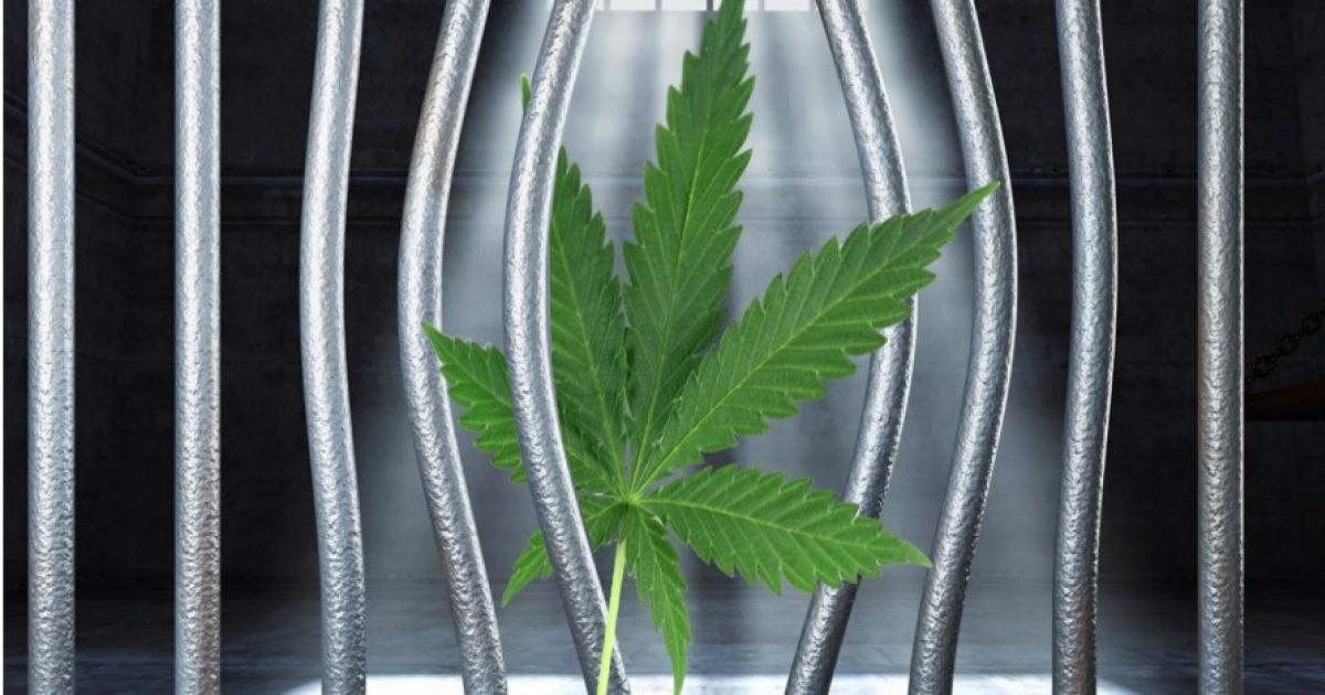 Crear Ley para la legalización de la marihuana en Cuba