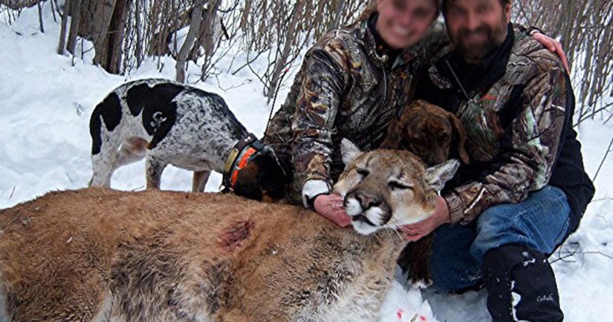 Hay que exigirle al canal Outdoors Channel que ya quite de su programación las sanguinarias cacerías de animales