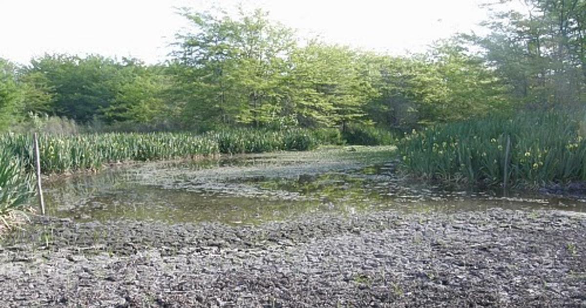 Organisez bien le fonctionnement du parc écologique