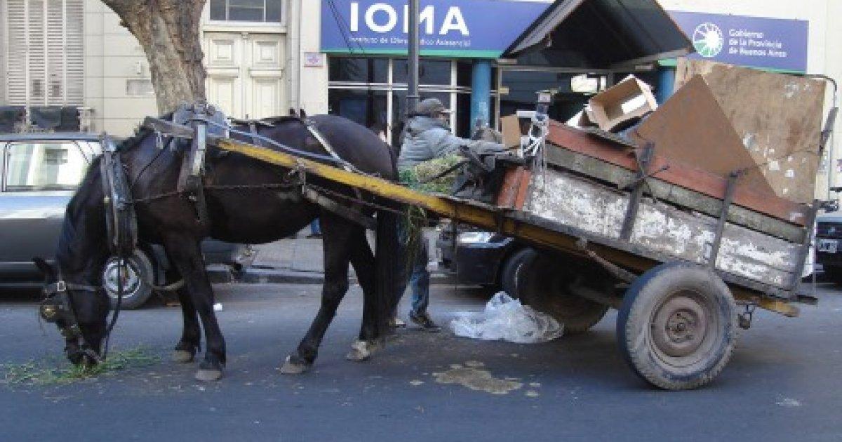 Que no puedan circular carros tirados por caballos