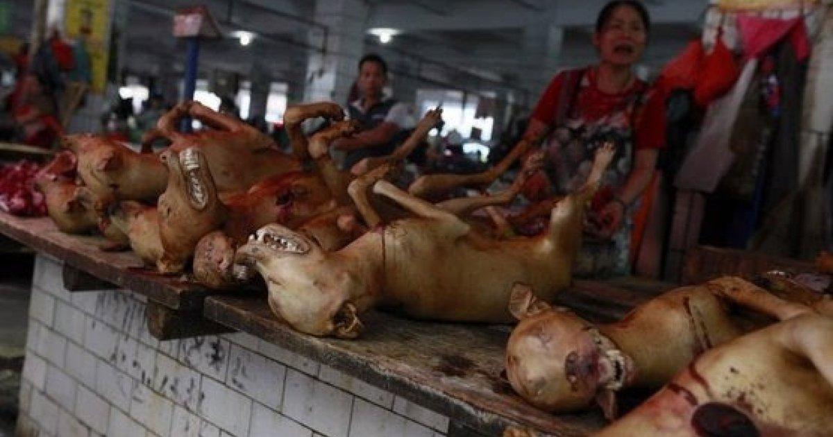 Prohíban el Espantoso Festival de Yulin