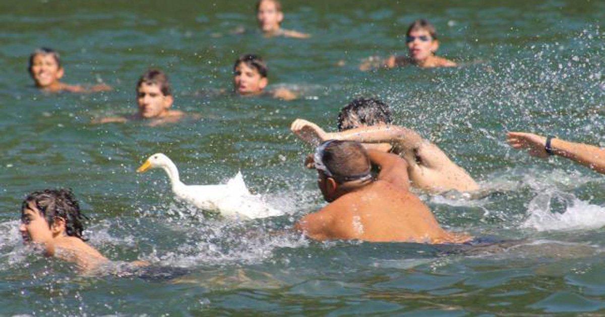No more animals will be damaged at the Valdés Duck Festival!