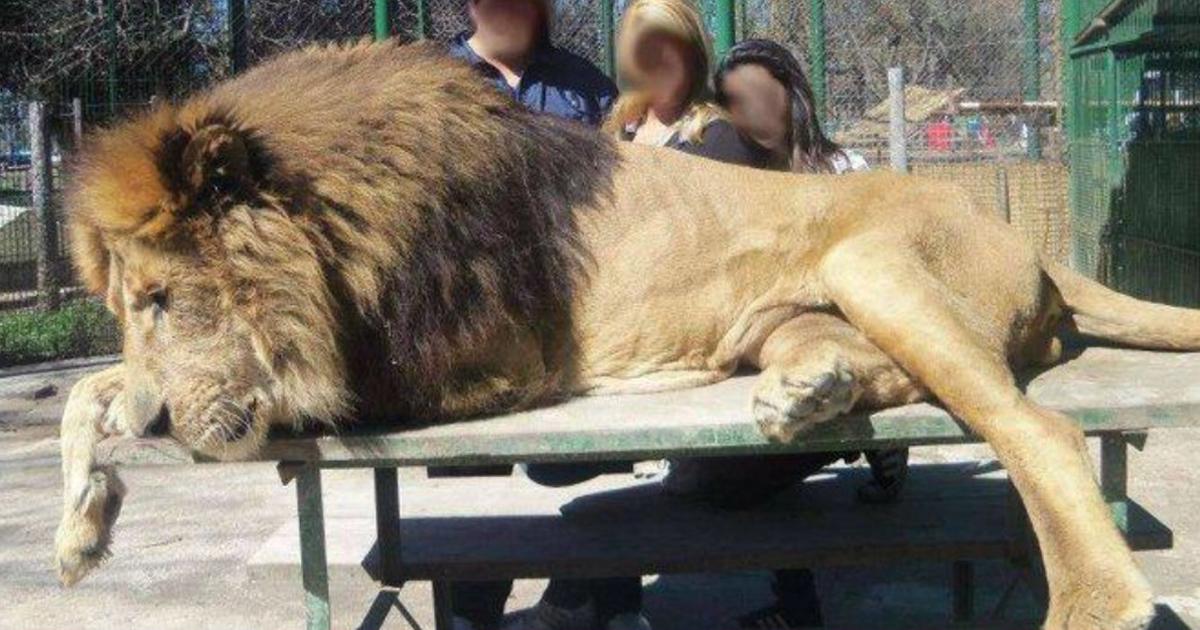 Cerrar el Zoo de Luján/ Buenos Aires 