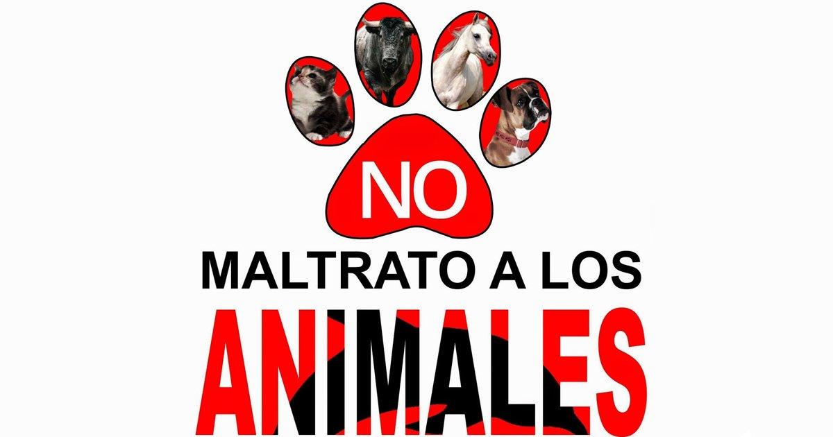 animal-protection-act