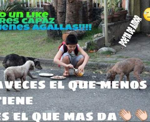 Delmer borjas turcios